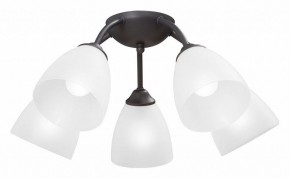 Потолочная люстра Vitaluce V3184 V3737-2/5PL в Можге - mozhga.mebel24.online | фото