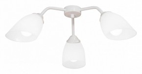 Потолочная люстра Vitaluce V31950 V31950/3PL в Можге - mozhga.mebel24.online | фото