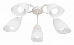 Потолочная люстра Vitaluce V31950 V31950/5PL в Можге - mozhga.mebel24.online | фото