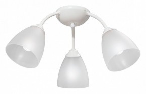 Потолочная люстра Vitaluce V3737 V3737-0/3PL в Можге - mozhga.mebel24.online | фото
