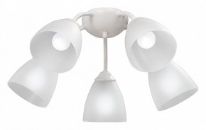 Потолочная люстра Vitaluce V3737 V3737-0/5PL в Можге - mozhga.mebel24.online | фото
