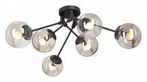 Потолочная люстра Vitaluce  V4323-1/6PL в Можге - mozhga.mebel24.online | фото