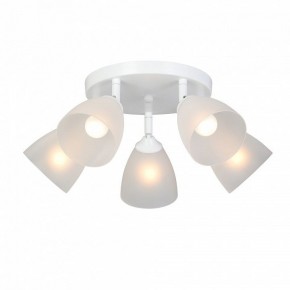 Потолочная люстра Vitaluce V4355 V4355-0/5PL в Можге - mozhga.mebel24.online | фото 2