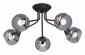 Потолочная люстра Vitaluce  V4724-1/5PL в Можге - mozhga.mebel24.online | фото