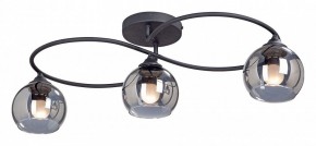 Потолочная люстра Vitaluce  V4965-1/3PL в Можге - mozhga.mebel24.online | фото