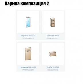 Прихожая Карина (модульная) в Можге - mozhga.mebel24.online | фото 6