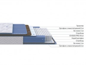 PROxSON Матрас Active Comfort M (Ткань Трикотаж Эко) 120x190 в Можге - mozhga.mebel24.online | фото 2