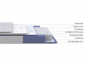 PROxSON Матрас Active Duo S/F (Ткань Трикотаж Эко) 120x195 в Можге - mozhga.mebel24.online | фото 2