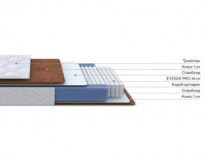 PROxSON Матрас Active F Roll (Ткань Трикотаж Эко) 120x200 в Можге - mozhga.mebel24.online | фото 2