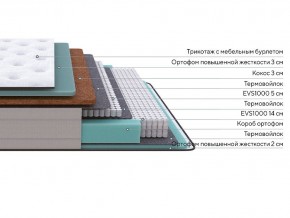 PROxSON Матрас Elysium Firm (Трикотаж Spiral-RT) 120x195 в Можге - mozhga.mebel24.online | фото 2