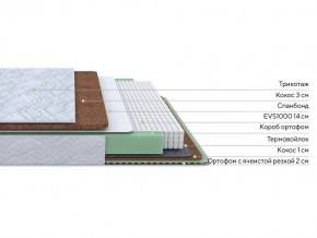 PROxSON Матрас Green Duo M/F (Tricotage Dream) 140x195 в Можге - mozhga.mebel24.online | фото 2