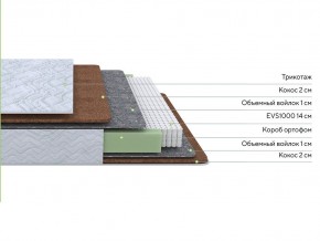 PROxSON Матрас Green F (Tricotage Dream) 80x210 в Можге - mozhga.mebel24.online | фото 6