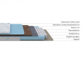 PROxSON Матрас Совенок (Cotton Little PROSON) 70x170 в Можге - mozhga.mebel24.online | фото 2