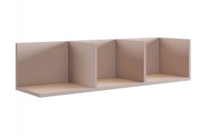 РИЧ Полка навесная 2 (кашемир) в Можге - mozhga.mebel24.online | фото 1