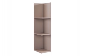 РИЧ Полка навесная 2 (кашемир) в Можге - mozhga.mebel24.online | фото 4