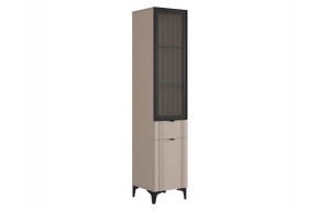 РИЧ Шкаф однодверный со стеклом в Можге - mozhga.mebel24.online | фото 1