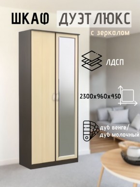 Шкаф 2-х створчатый Дуэт Люкс с зеркалом в Можге - mozhga.mebel24.online | фото