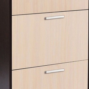 Шкаф для обуви УК-4 в Можге - mozhga.mebel24.online | фото 2