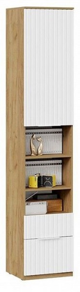 Шкаф комбинированный Хилтон Исп. 2 в Можге - mozhga.mebel24.online | фото 4