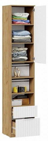 Шкаф комбинированный Хилтон Исп. 2 в Можге - mozhga.mebel24.online | фото 5