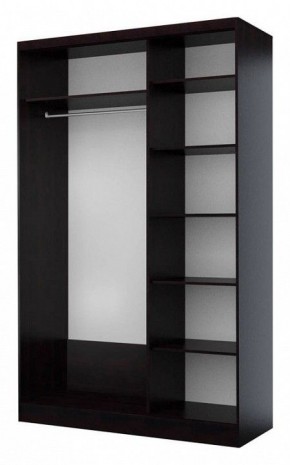 Шкаф-купе Байкал-2 СТЛ.268.11 в Можге - mozhga.mebel24.online | фото 2