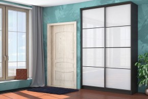 Шкаф-купе Байкал-2 СТЛ.268.11 в Можге - mozhga.mebel24.online | фото 3