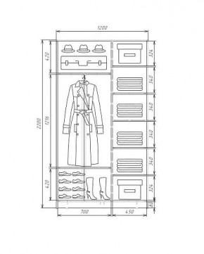 Шкаф-купе ХИТ 22-4-12-66 (420) в Можге - mozhga.mebel24.online | фото 5