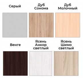 Шкаф-купе ХИТ 22-4-14-11 (420) в Можге - mozhga.mebel24.online | фото 5