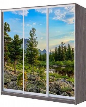 Шкаф-купе ХИТ 22-4-18/2-777 ПРИРОДА в Можге - mozhga.mebel24.online | фото