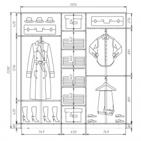 Шкаф-купе ХИТ 22-4-20-555 (420) в Можге - mozhga.mebel24.online | фото 2