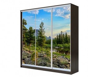 Шкаф-купе ХИТ 22-4-20-777 (420) в Можге - mozhga.mebel24.online | фото