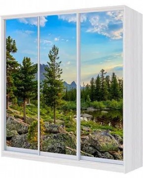 Шкаф-купе ХИТ 22-4-20-777 ПРИРОДА в Можге - mozhga.mebel24.online | фото