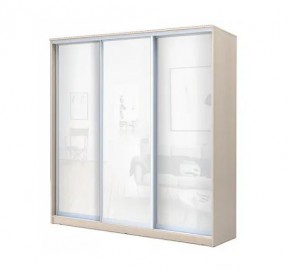 Шкаф-купе ХИТ 22-4-20-888 (420) в Можге - mozhga.mebel24.online | фото 4