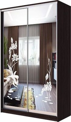 Шкаф-купе ХИТ 23-15-66 ЦАПЛИ в Можге - mozhga.mebel24.online | фото