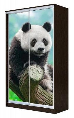 Шкаф-купе ХИТ 23-15-77 ПАНДА в Можге - mozhga.mebel24.online | фото