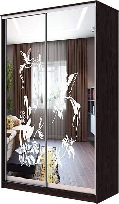 Шкаф-купе ХИТ 23-4-12/2-66 КОЛИБРИ в Можге - mozhga.mebel24.online | фото