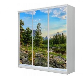 Шкаф-купе ХИТ 23-4-20-777 (420) в Можге - mozhga.mebel24.online | фото