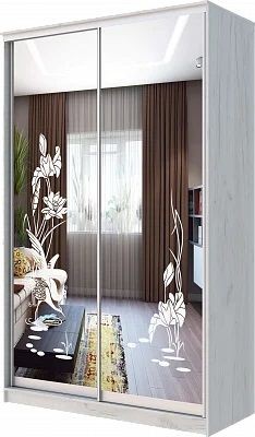 Шкаф-купе ХИТ 24-14-66 ЦАПЛИ в Можге - mozhga.mebel24.online | фото