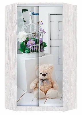 Шкаф-купе ХИТ-У-24-4-77 МИШКА В ИНТЕРЬЕРЕ в Можге - mozhga.mebel24.online | фото
