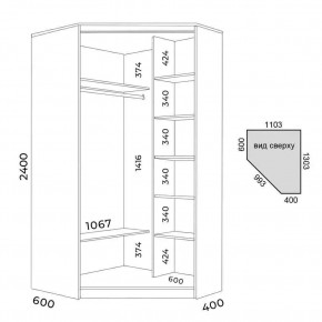 Шкаф-купе ХИТ-У-L-24-64-15 в Можге - mozhga.mebel24.online | фото 3