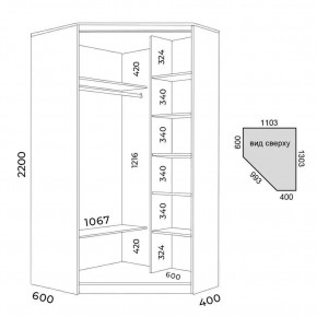 Шкаф-купе ХИТ-У-R-22-64-77 в Можге - mozhga.mebel24.online | фото 3