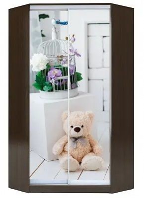 Шкаф-купе ХИТ-У-R-22-64-77 МИШКА В ИНТЕРЬЕРЕ в Можге - mozhga.mebel24.online | фото