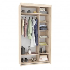 Шкаф-купе T-1-230х120х60 (1-1) в Можге - mozhga.mebel24.online | фото