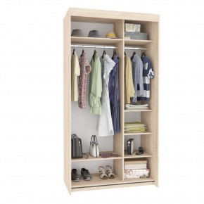 Шкаф-купе T-1-230х120х60 (3-3) в Можге - mozhga.mebel24.online | фото