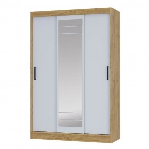 Шкаф-купе Тео ШКК-02 (крафт/белый) в Можге - mozhga.mebel24.online | фото 2