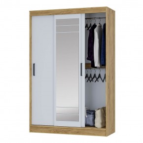 Шкаф-купе Тео ШКК-02 (крафт/белый) в Можге - mozhga.mebel24.online | фото 3