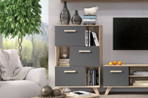Шкаф низкий с нишами Вега Скандинавия в Можге - mozhga.mebel24.online | фото 6