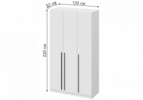 Шкаф платяной Бирма ШК-1200 в Можге - mozhga.mebel24.online | фото 4