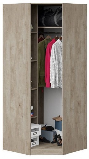 Шкаф платяной Эмбер СМ-348.07.007 L в Можге - mozhga.mebel24.online | фото 4