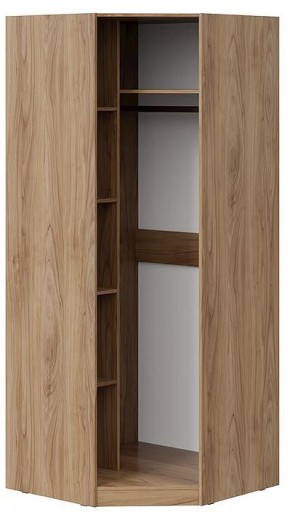 Шкаф платяной Глосс СМ-319.07.311 в Можге - mozhga.mebel24.online | фото 2